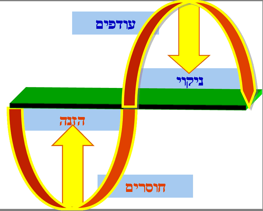עודפים וחוסרים